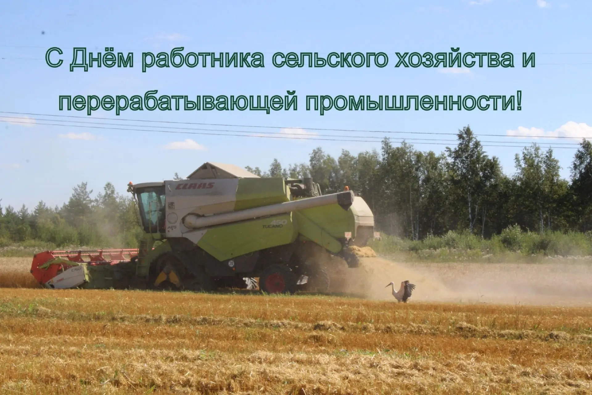 Дорогие работники и уважаемые ветераны сельского хозяйства и перерабатывающей промышлен...