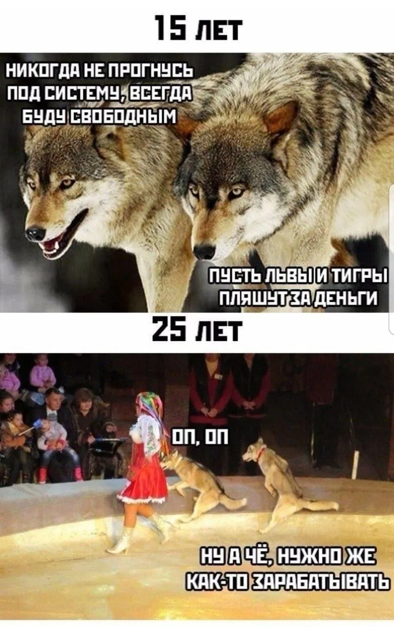 11 октября воскресенье , в Матвеевом-Кургане переменная облачность, без осадков.