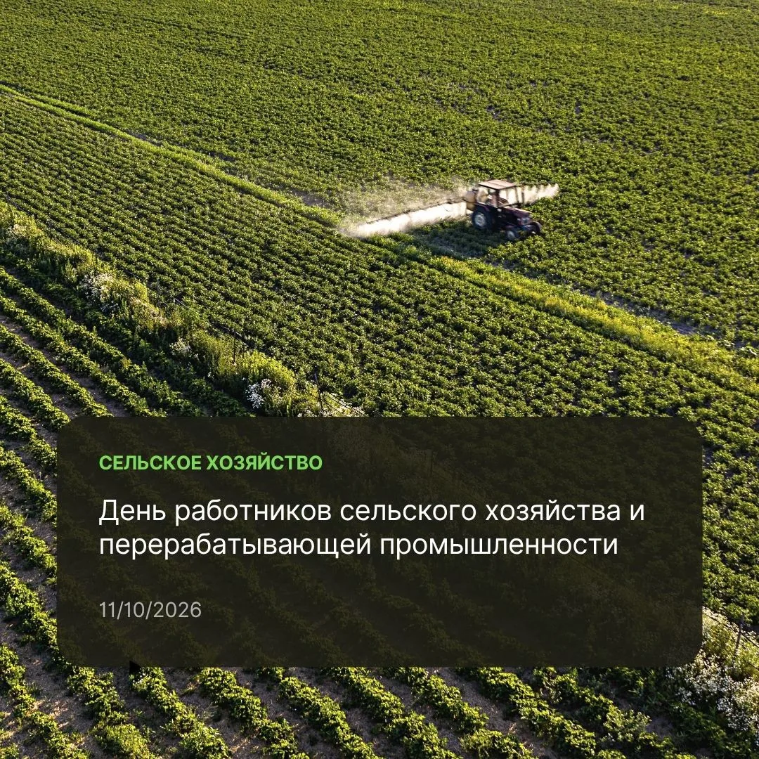 Омская область — один из ключевых аграрных центров Сибири. На полях Прииртышья из года ...
