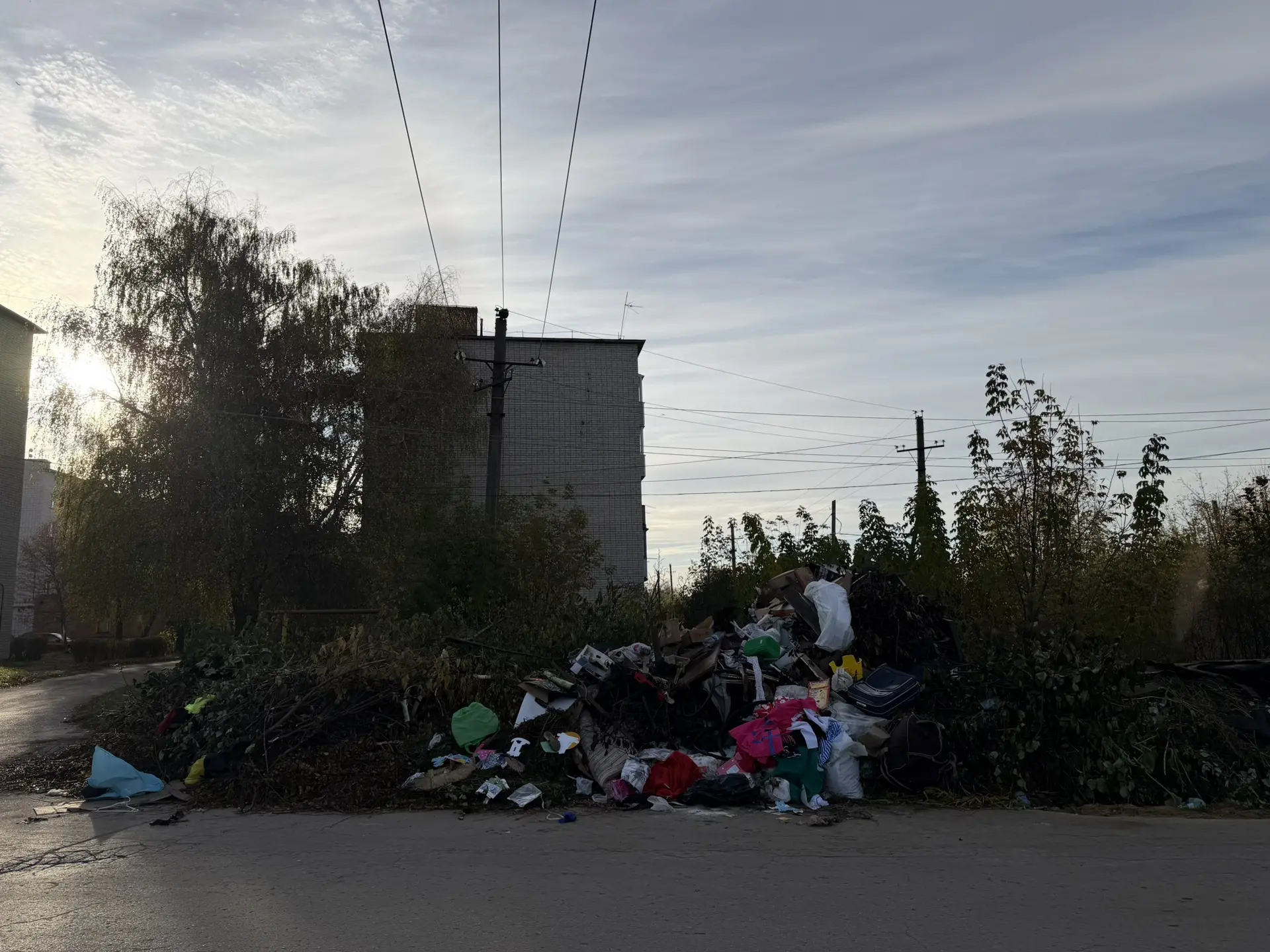 🏚️Свой дом и земельный участок хочется держать в порядке. А город пусть будет помойкой...