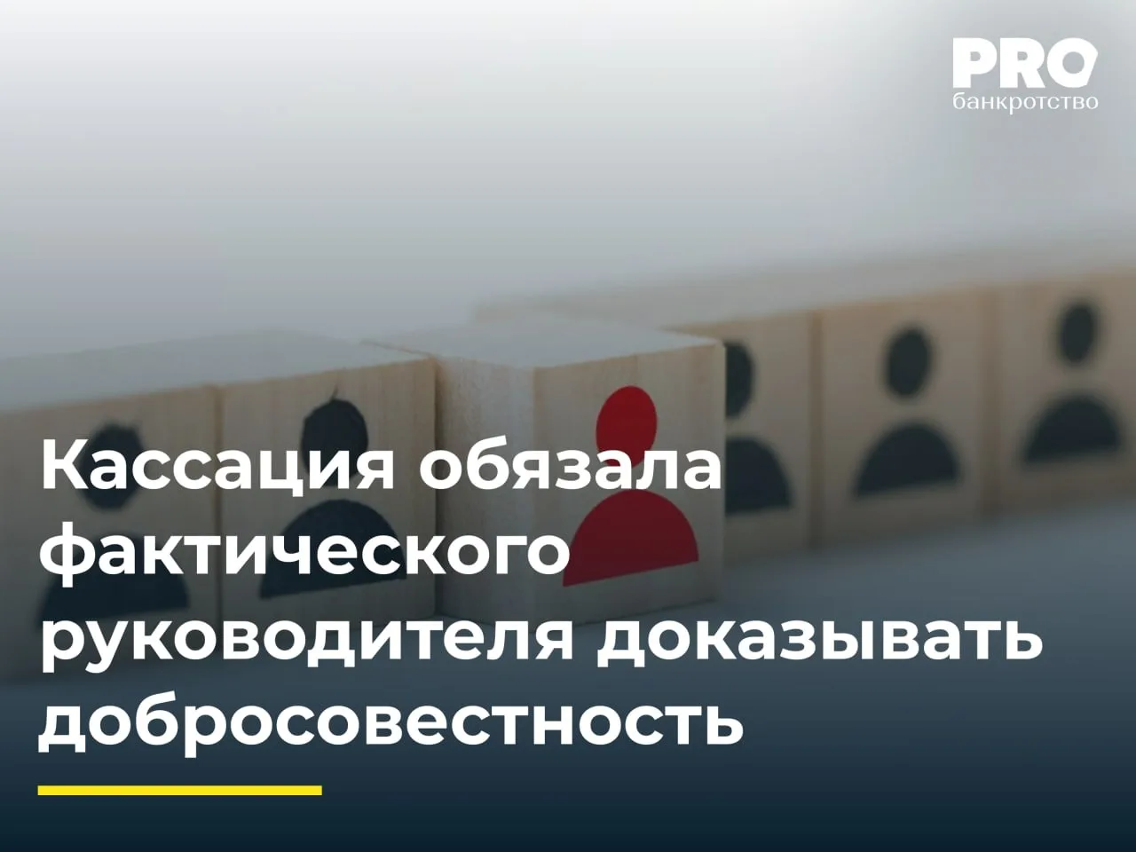 Кассация обязала фактического руководителя доказывать добросовестность
