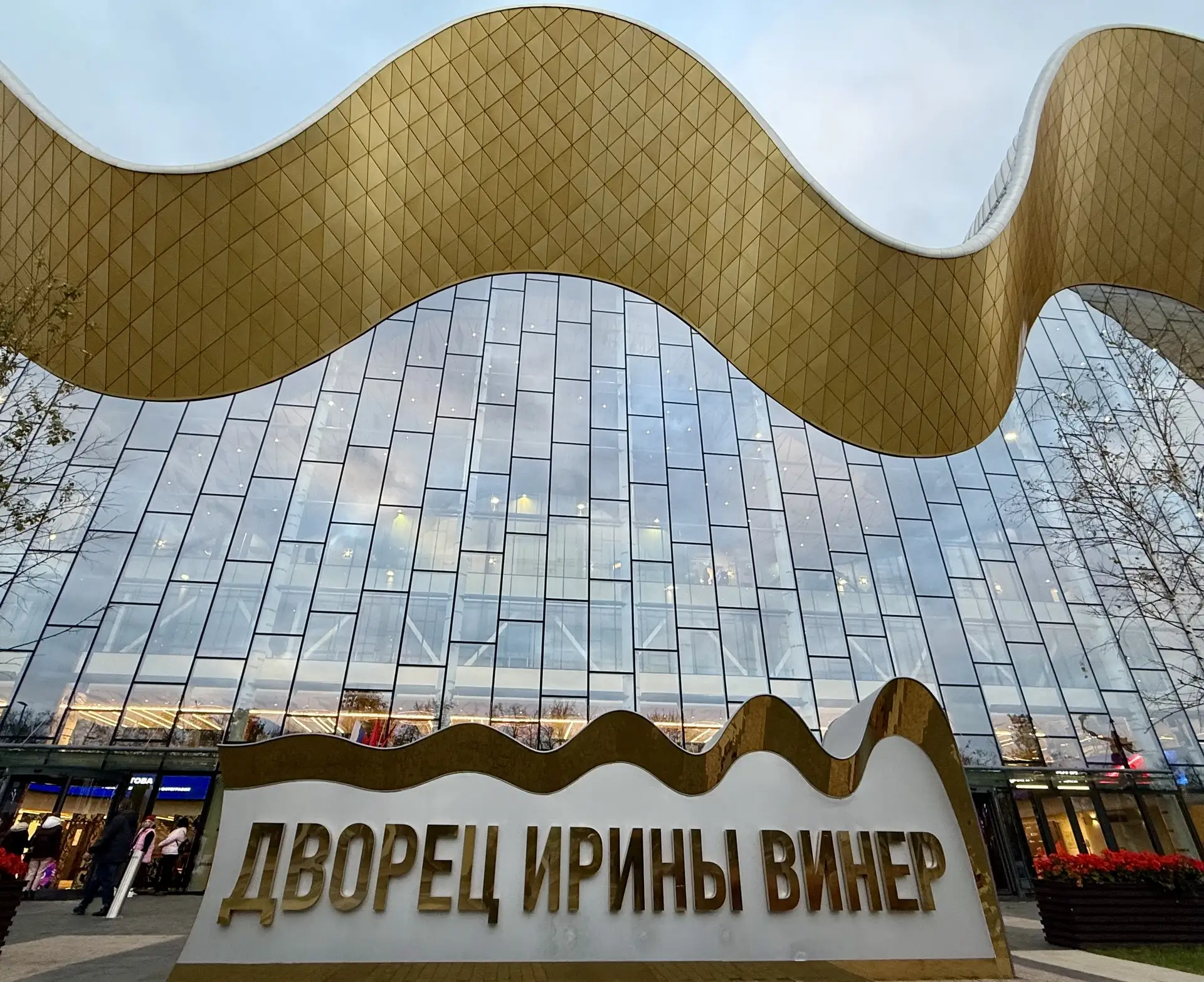 Дворец Ирины Винер 11.10.26