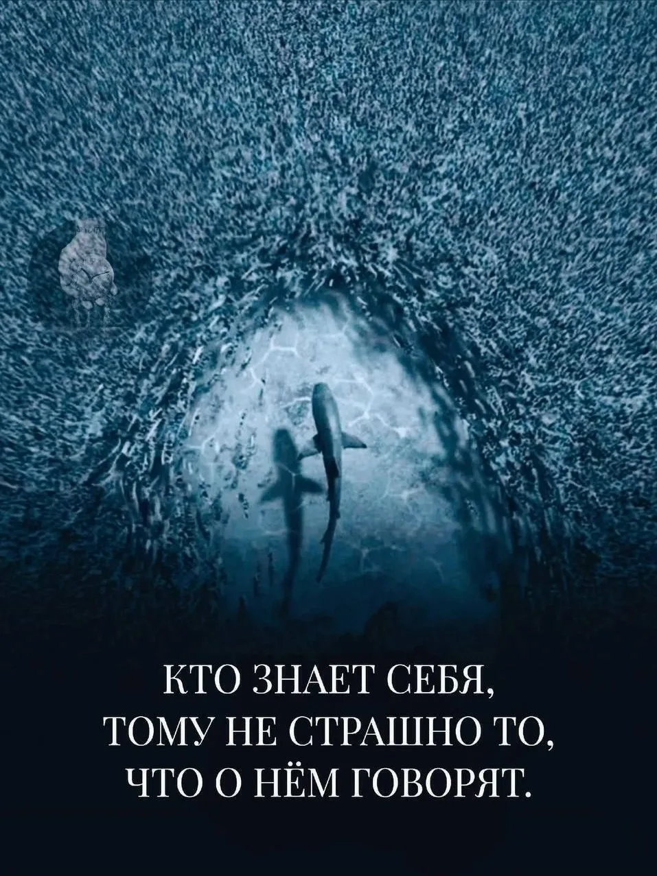 Наш канал в МАКС -> max.ru/pablic_krasota