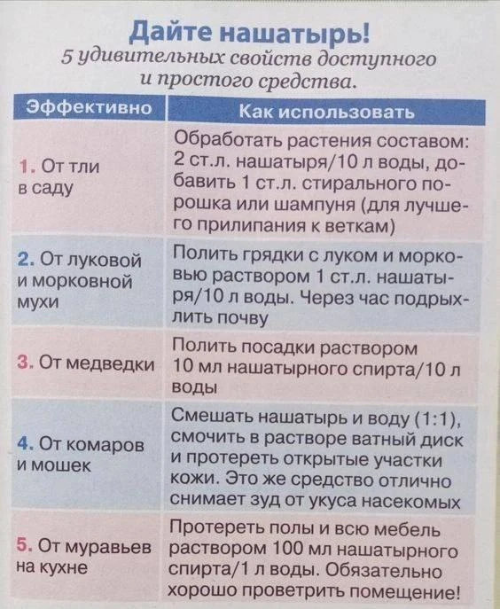 Удивительные свойства нашатырного спирта 🌿