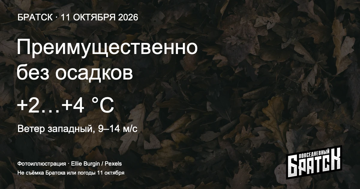 В Братске 11 октября ожидается до +4 градусов и западный ветер