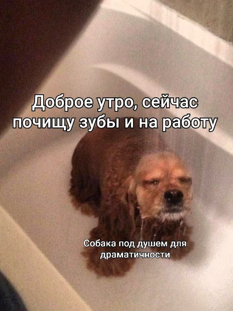 Доброе утро. Все настроились на финалочку?
