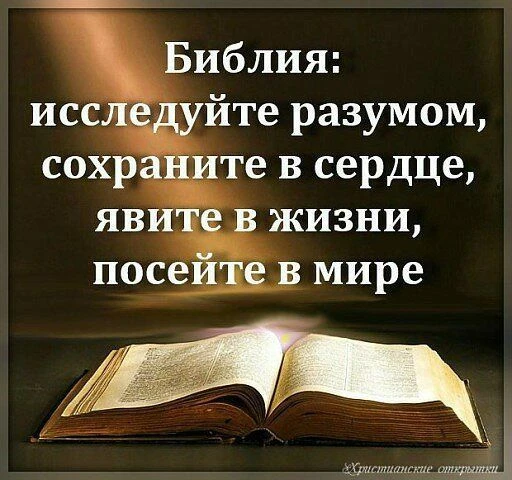 📖 ХЛЕБ НА СЕГОДНЯ