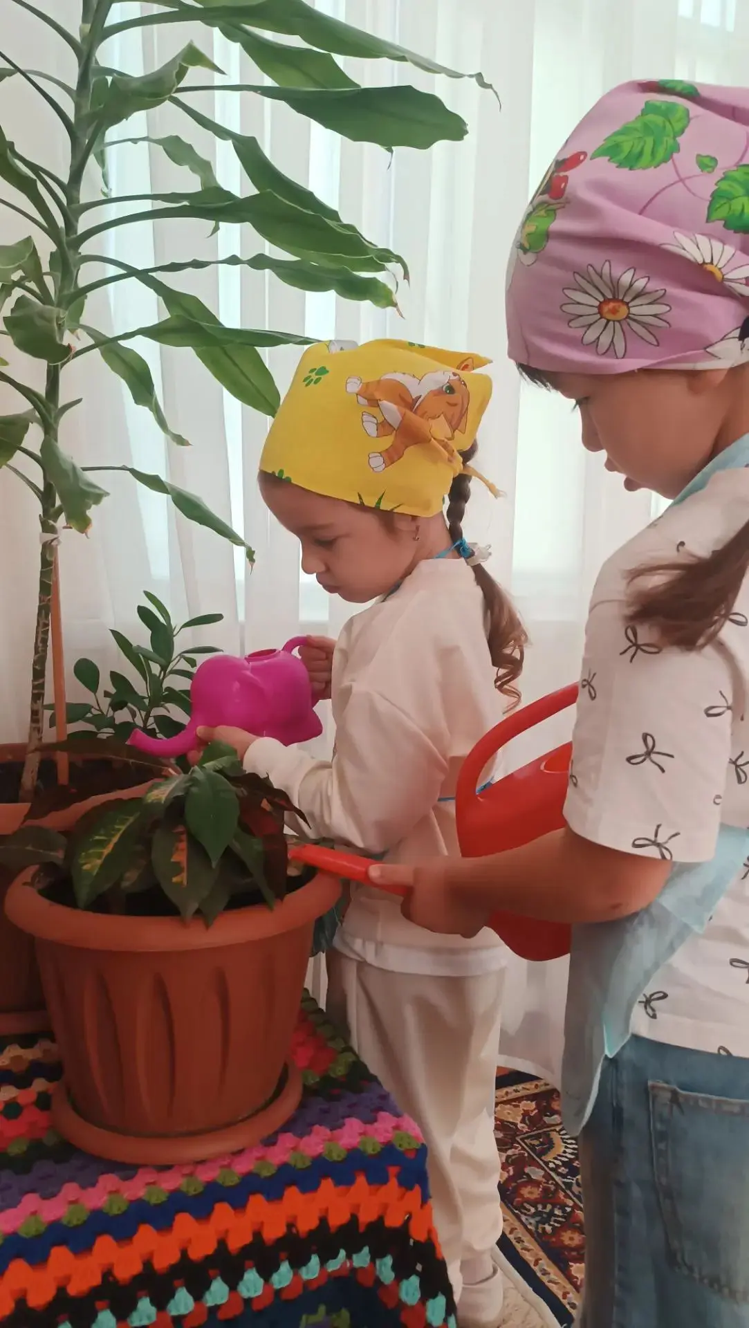 🌺День добрых слов и дел в группе🌺