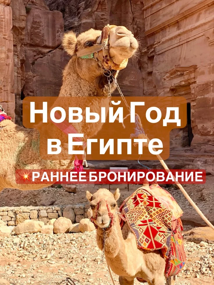 🎄 НОВЫЙ ГОД БЕЗ ЁЛКИ? ЛЕГКО!