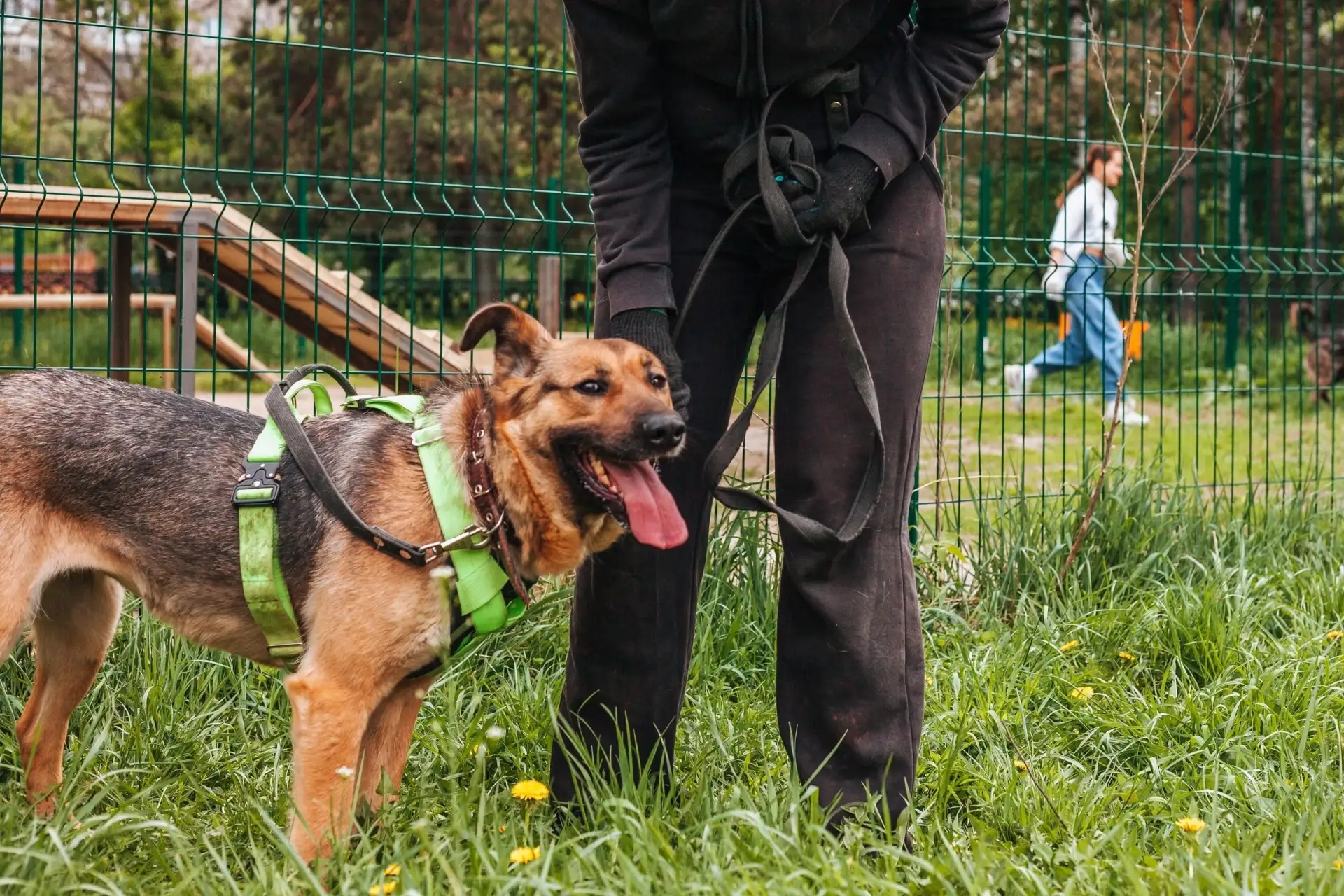 Знакомьтесь, это Юми🐕