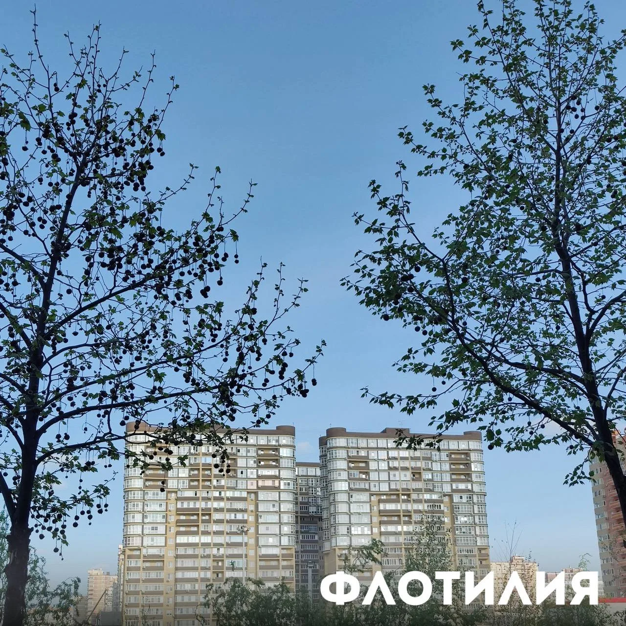 На территории жилого комплекса «Флотилия» отремонтировали лавочку.