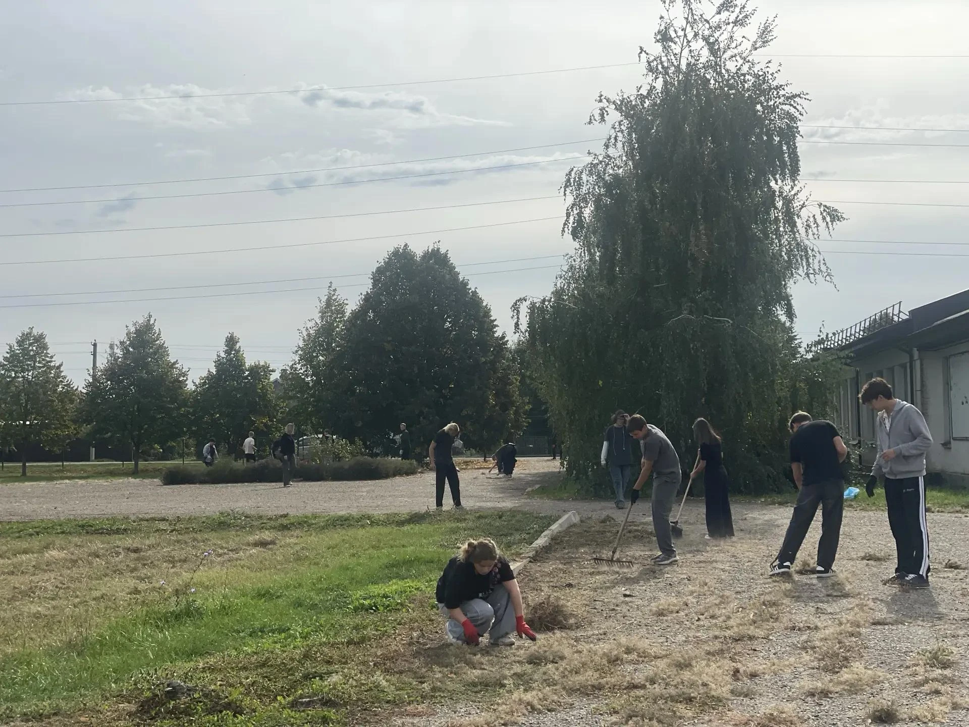 💪 ТТКР: Учимся, побеждаем и трудимся на благо! Сегодня – субботник в Медведовской!
