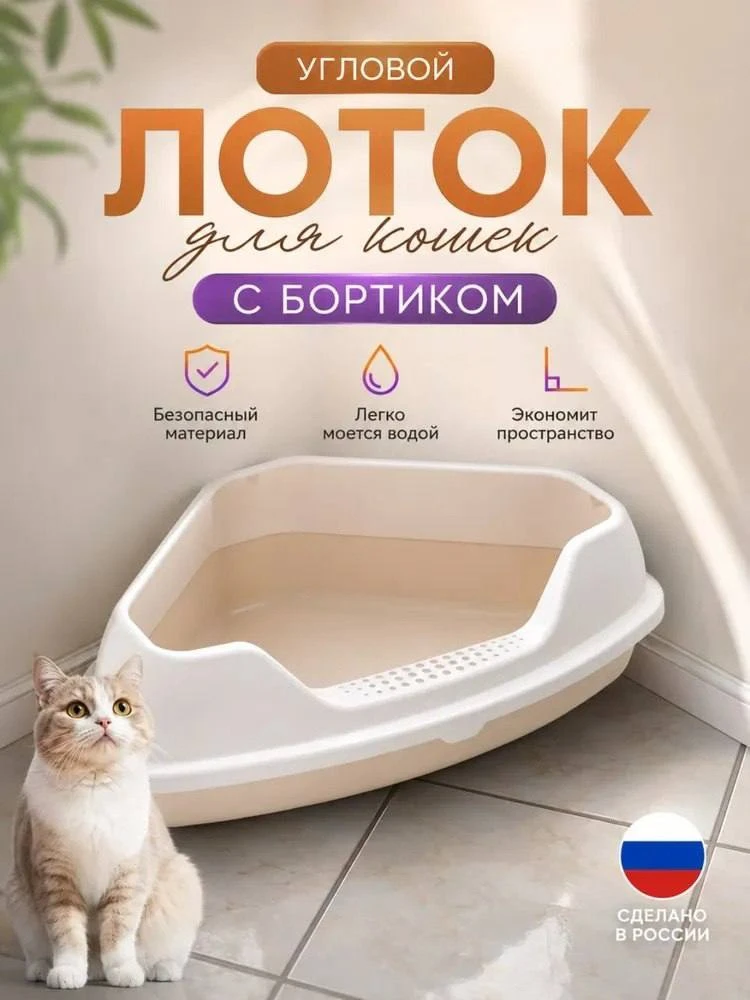 Вчера мы рассказали о капитальном ремонте Кошкиного дома и скором возвращении собственн...