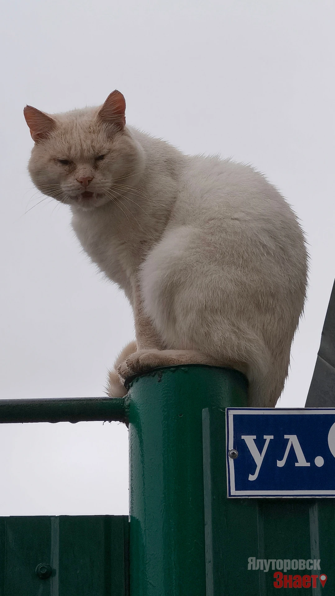 Дождливое осеннее утро 🌧🍁