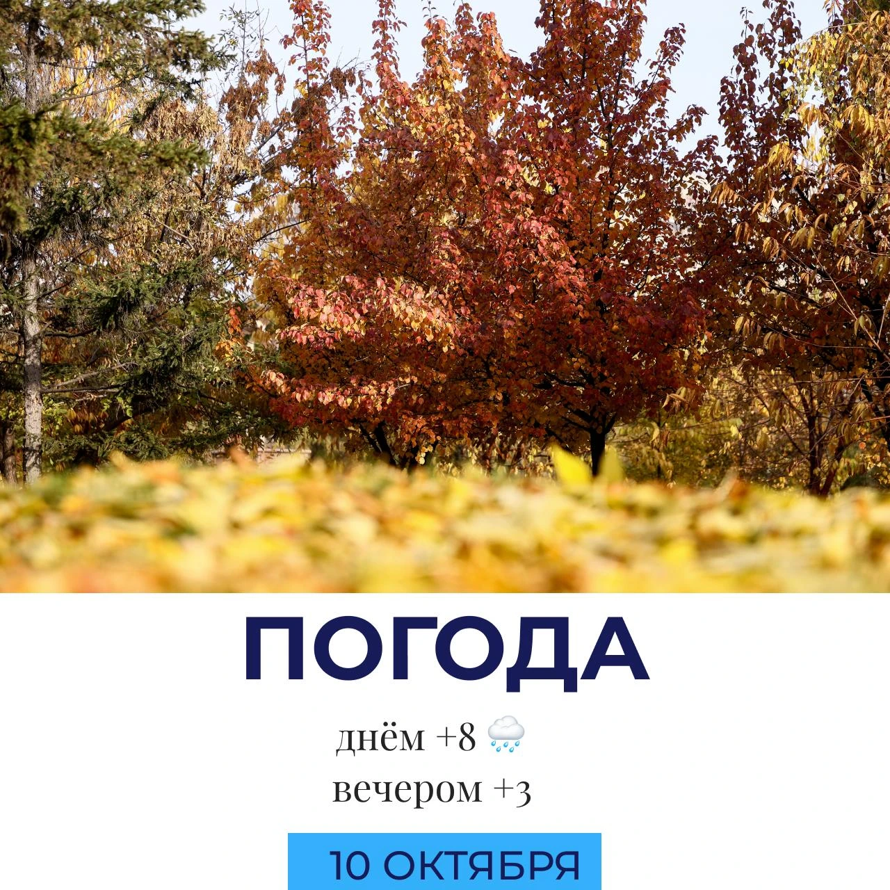 🌧 Погода сегодня