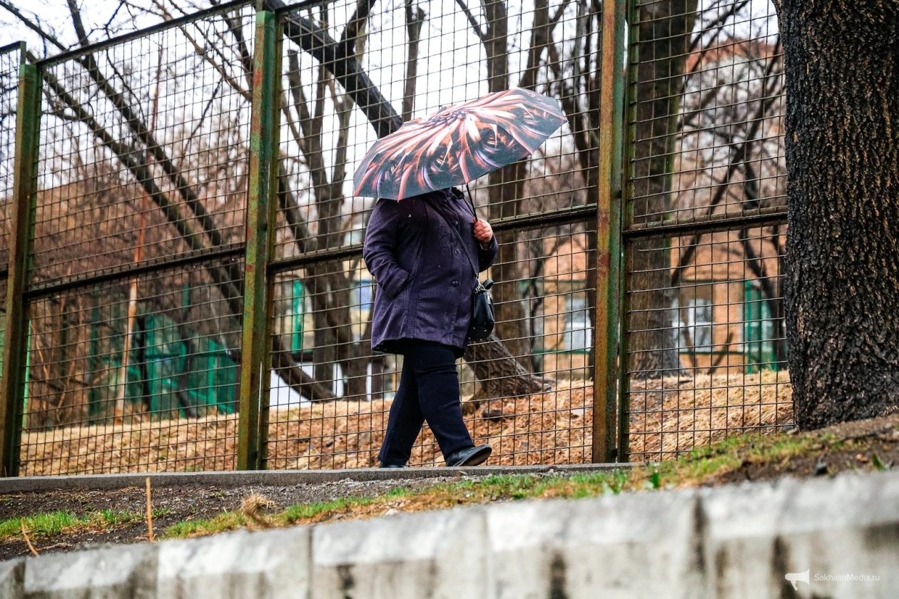 🌧 Новый циклон обрушится на Сахалин в среду