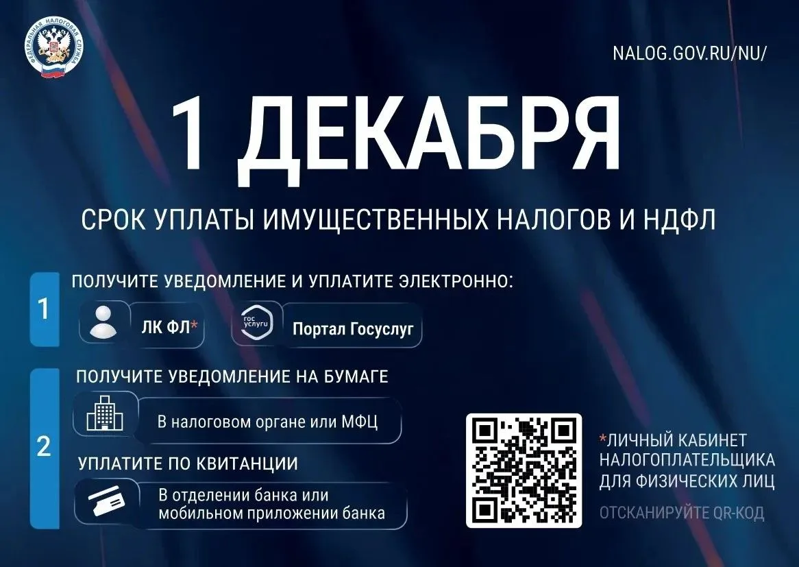 📅 1 ДЕКАБРЯ — СРОК УПЛАТЫ ИМУЩЕСТВЕННЫХ НАЛОГОВ И НДФЛ