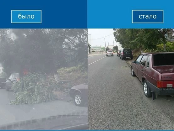 🔹Жители Покровского сельского поселения сообщили через Платформу обратной связи о ветк...