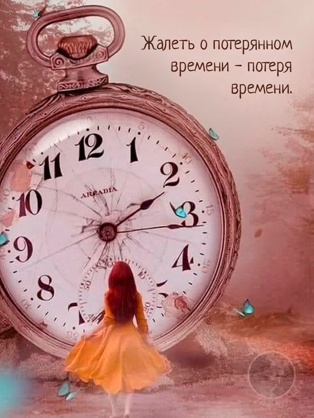 Твой мир, твои слова