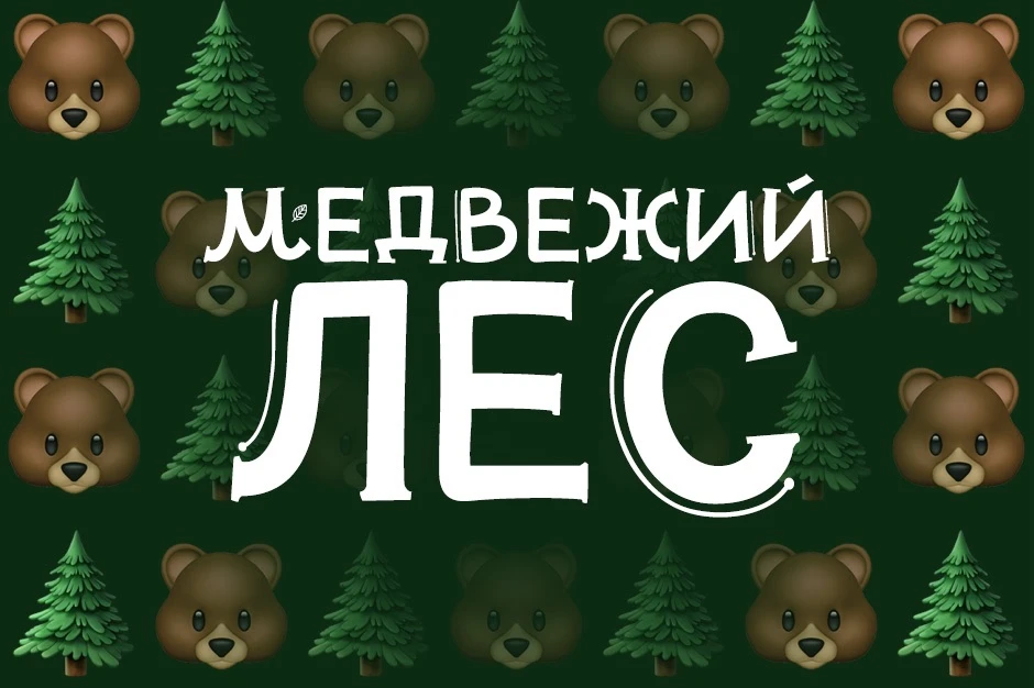 Как расслабиться в пятницу вечером? Попробовать не встретить медведя 🐻