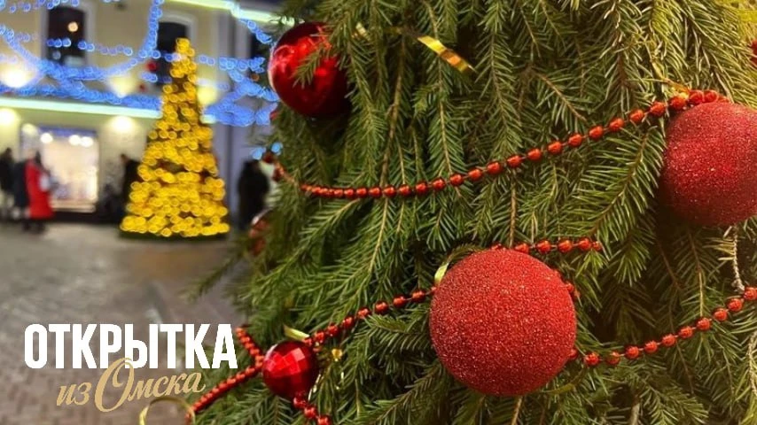 Зима близко: в Омске начали готовить места для ёлочных базаров