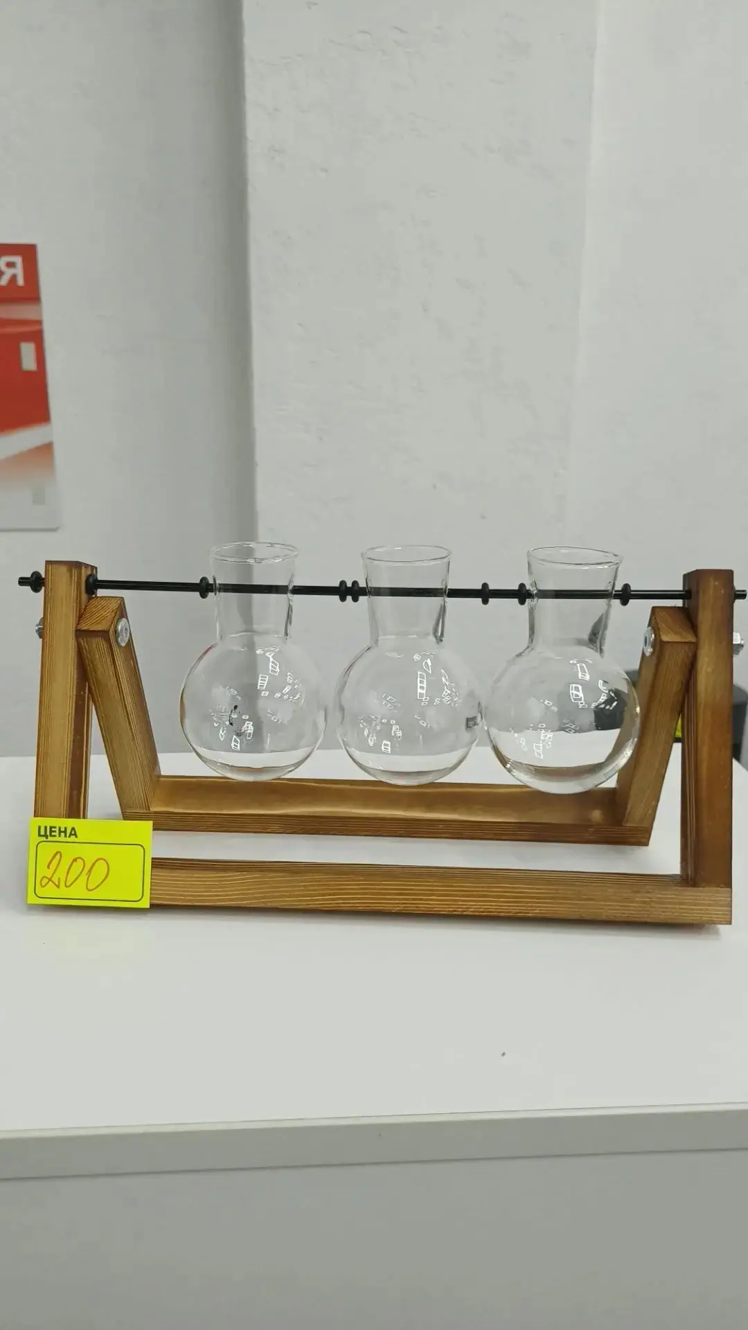 Гидропонная ваза — 200₽