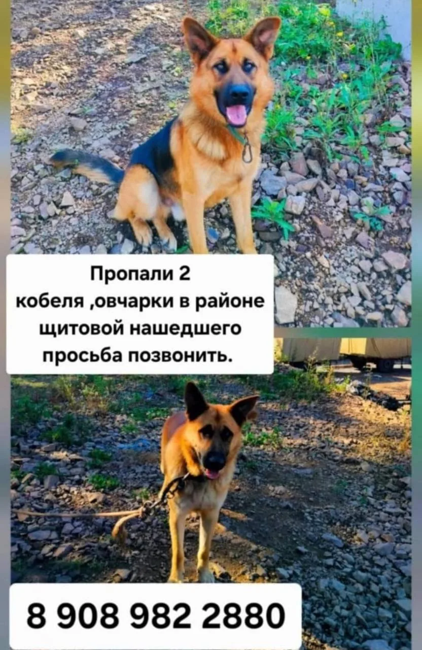 Сегодня пропали Владивосток