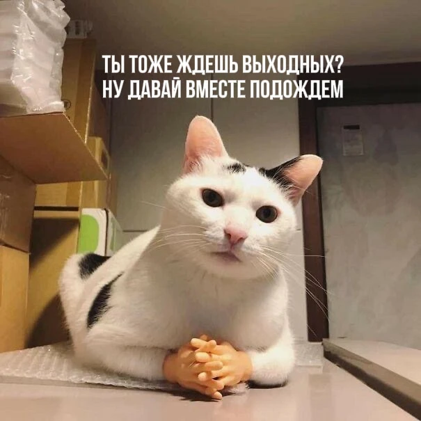 🥱Доброе утро, Приморье!