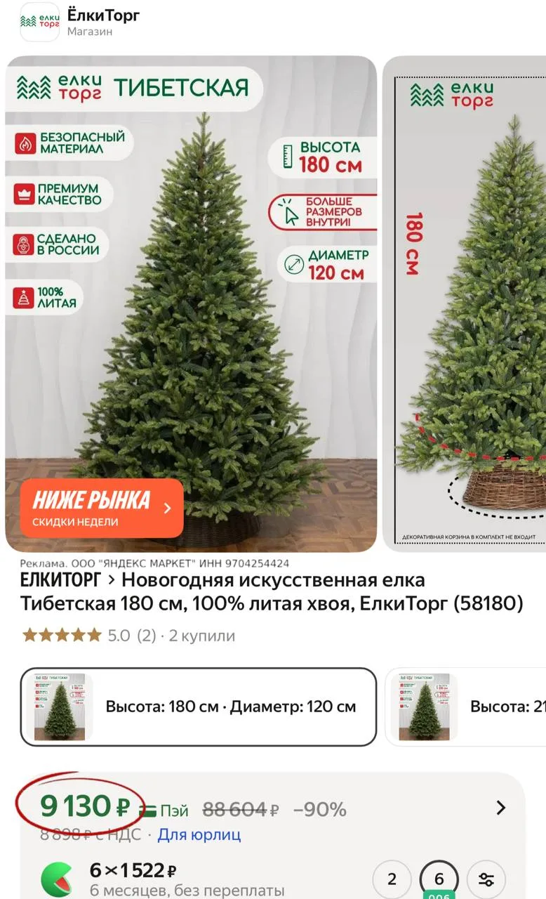 😍 Ещё одна красавица 🎄