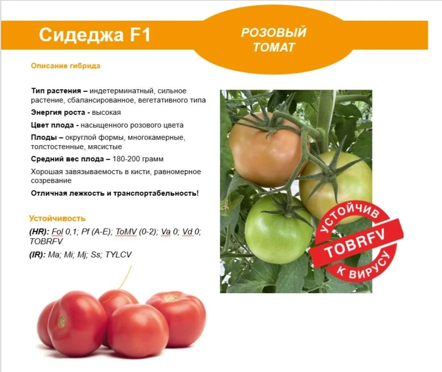 Мероприятия по предотвращению и сокращению растрескивания /продолжение