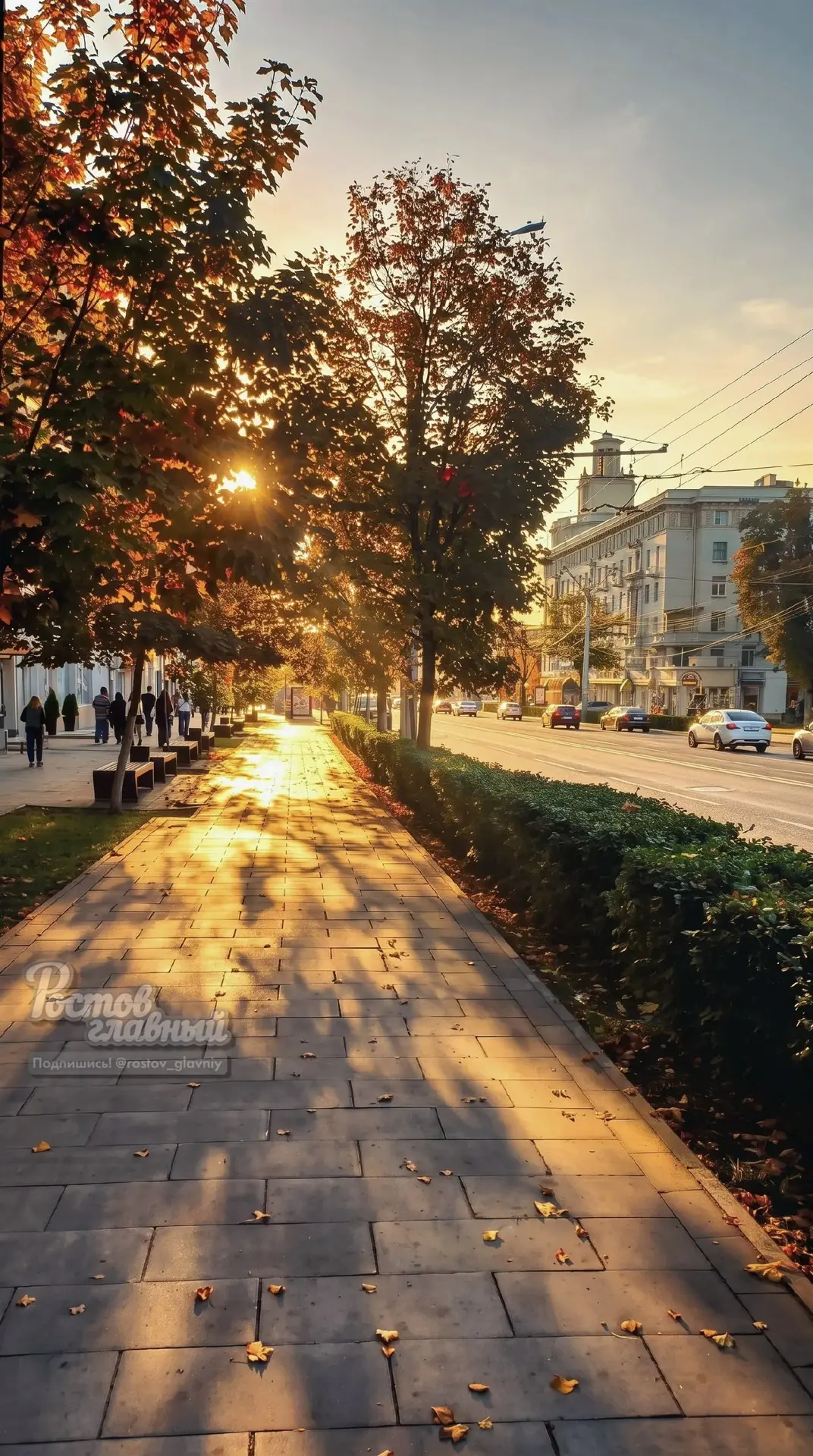 Бабье лето в Ростове продержится до пятницы 🌞