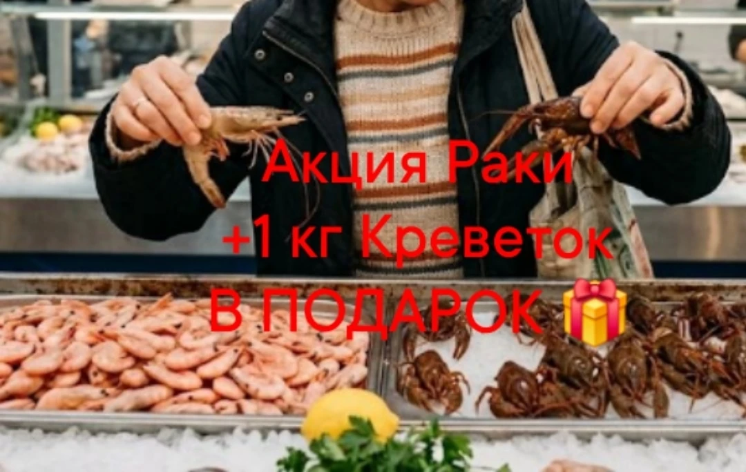 🦀🦀🦀🦀🦀