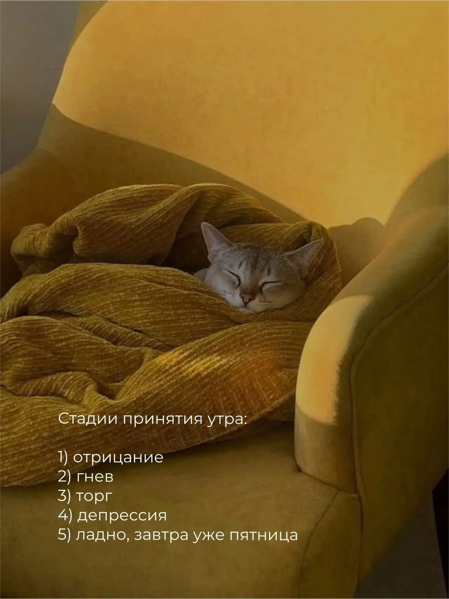 Доброе утро! 🧡