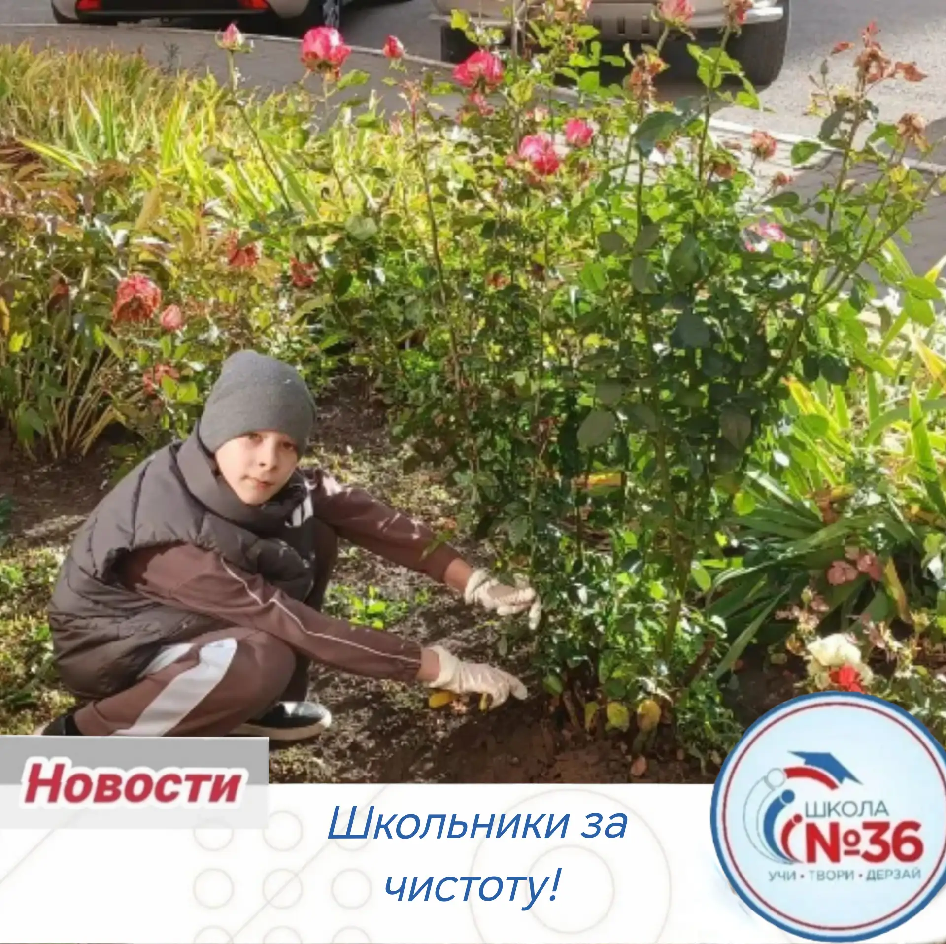 🍁 Осенняя забота от 2А!