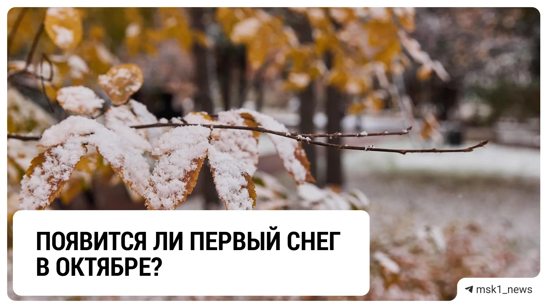 ❄️ Первый снег может выпасть в Москве уже в ноябре