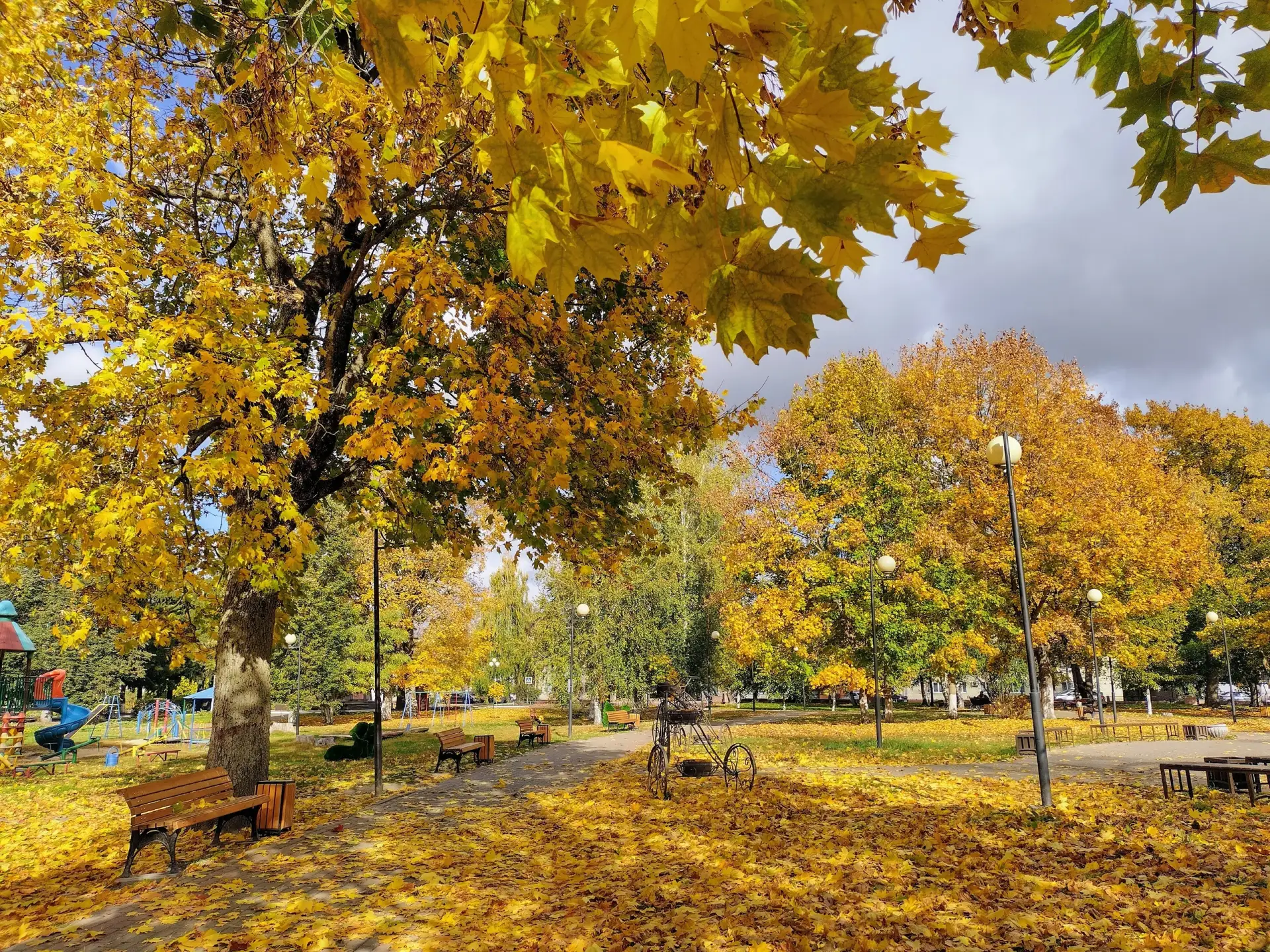 🍁Золотая осень в парке🍂