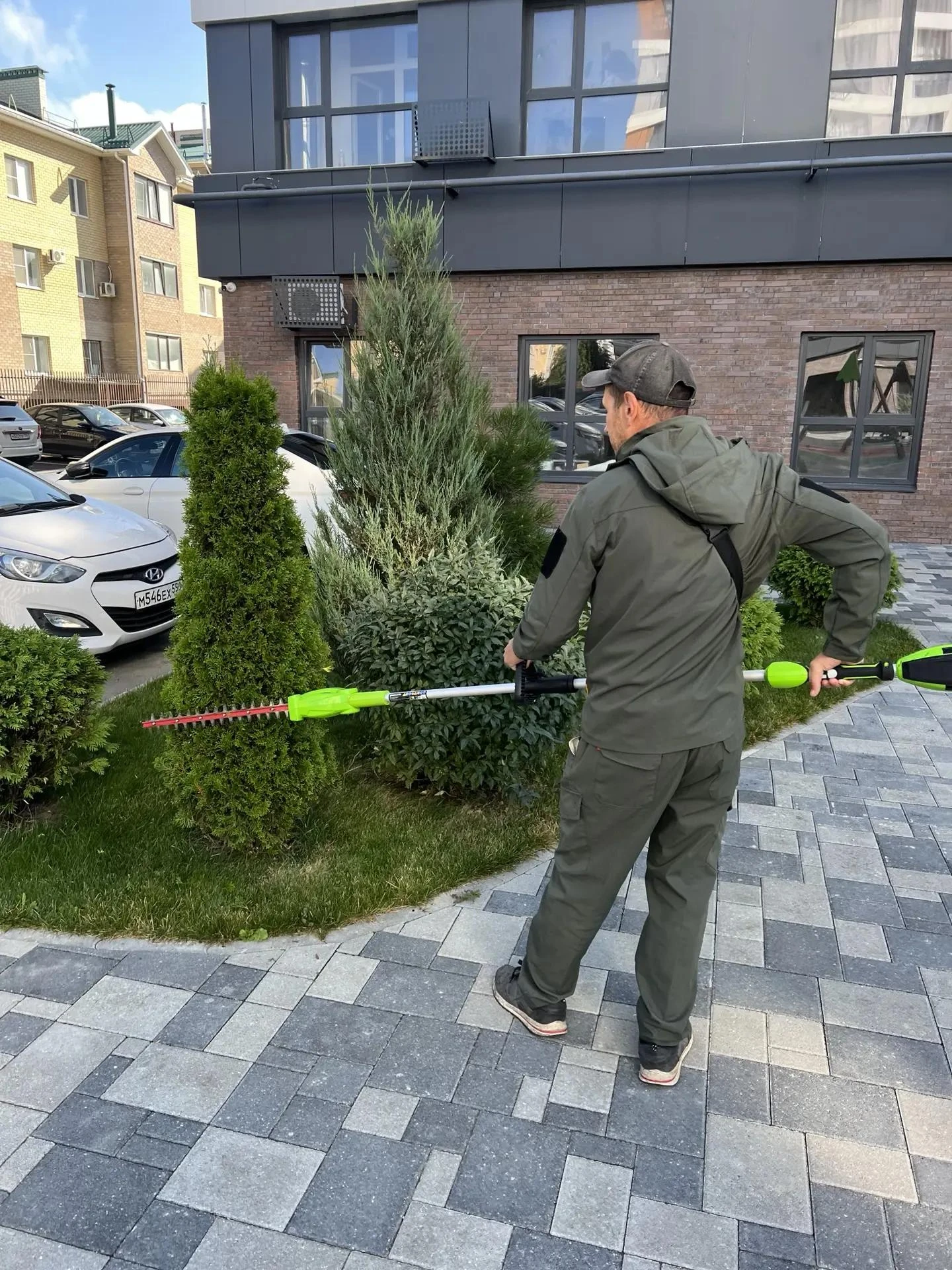 На участках озеленения проведена санитарная и формирующая стрижка растений, профилактич...
