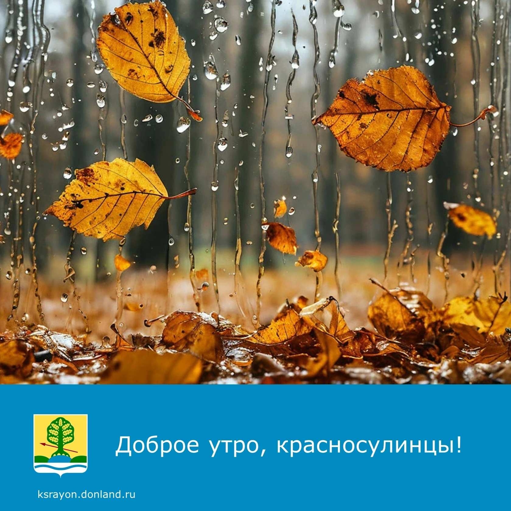 Доброе утро! На календаре 16 октября.
