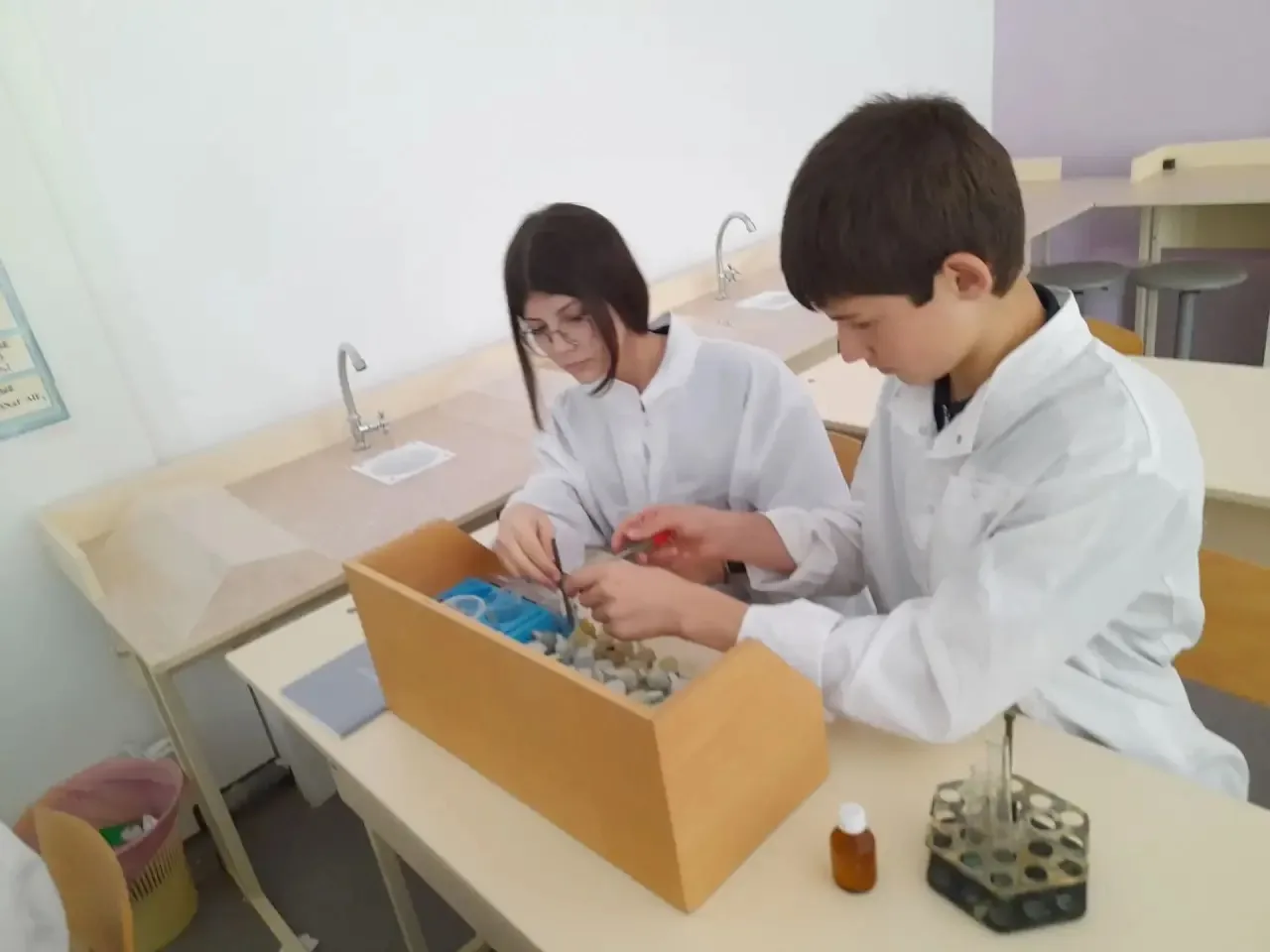 🧪🧬 ТОЧКА РОСТА.