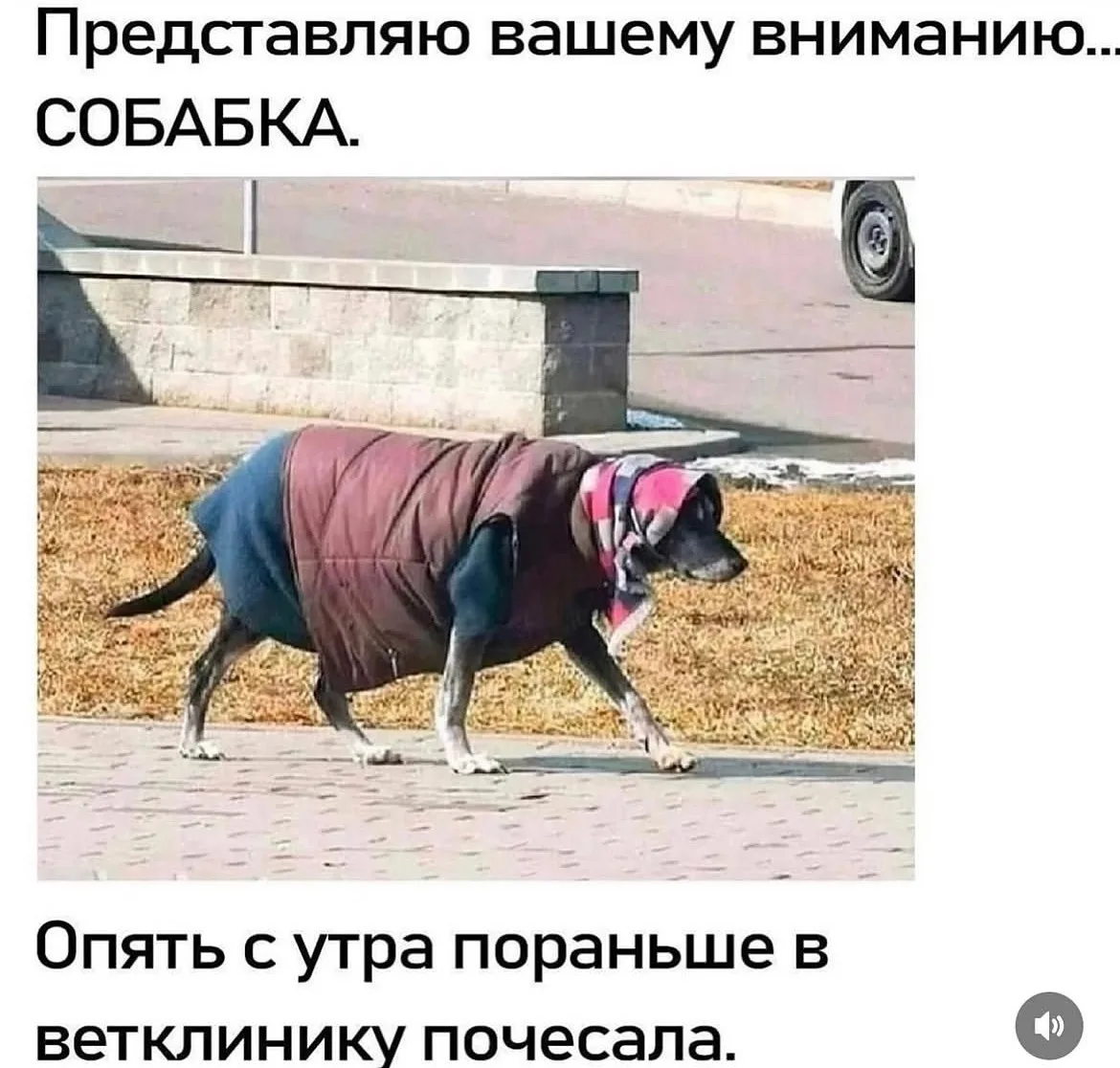 Дурилка картонная