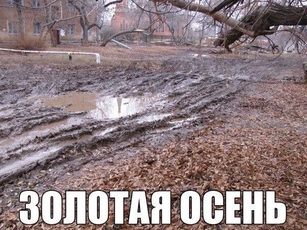 Сегодня может быть последний тёплый день в области, предупреждают синоптики.
