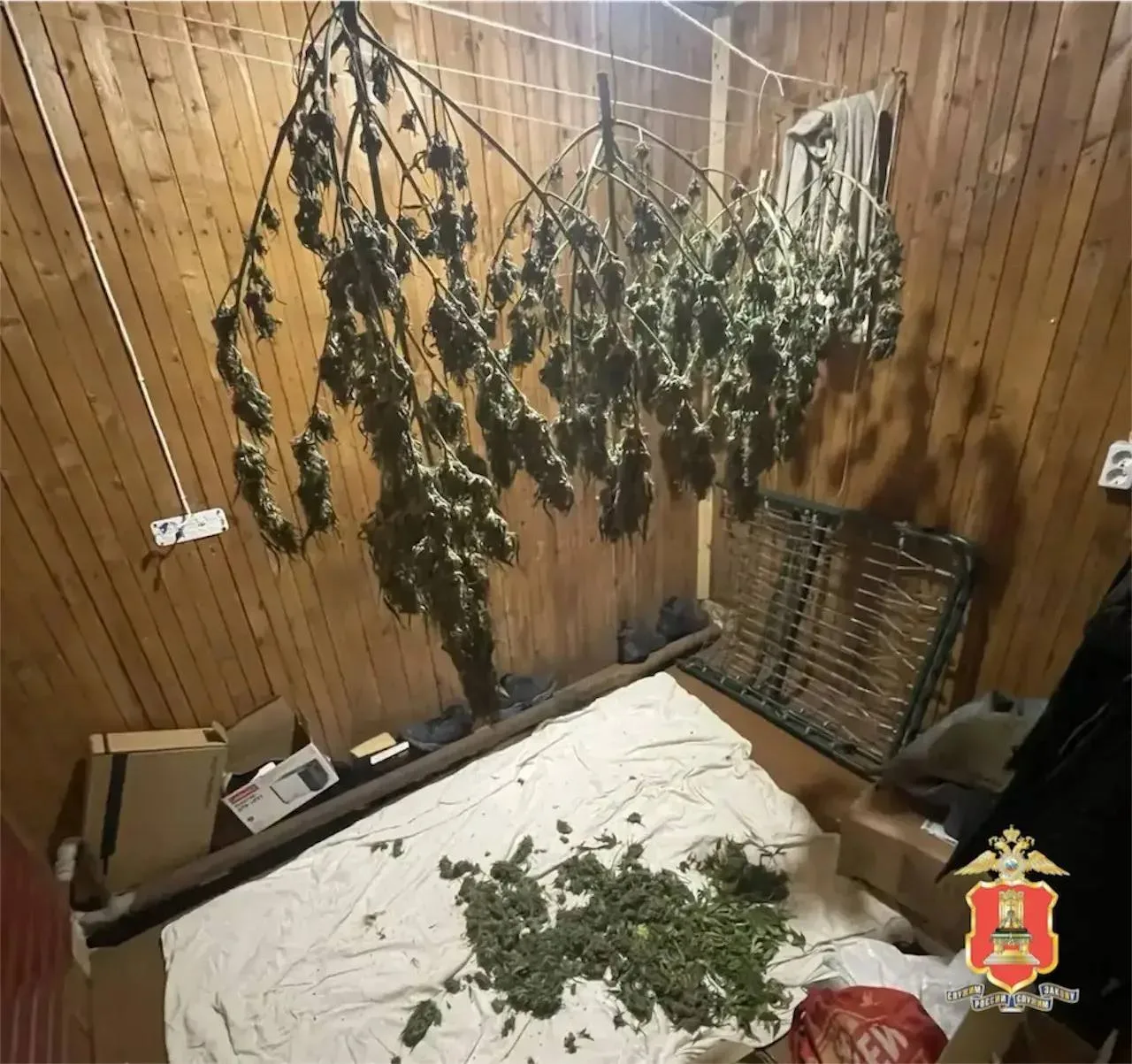 🌿 В заброшенной овчарне под Тверью нашли наркоферму