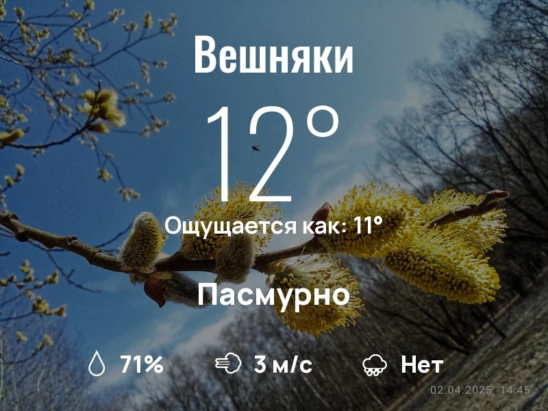 Что с погодой в Вешняках?