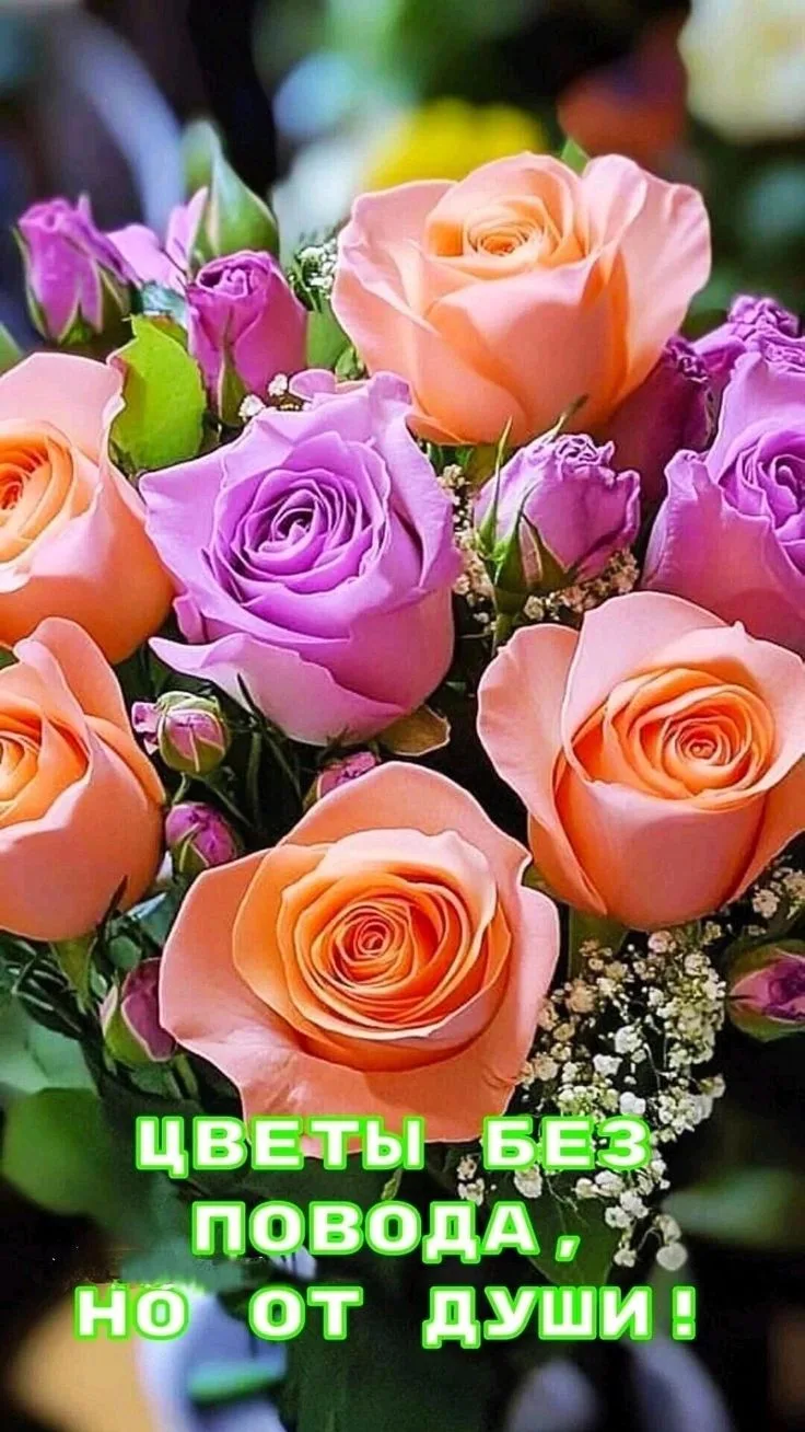 💜💜💜