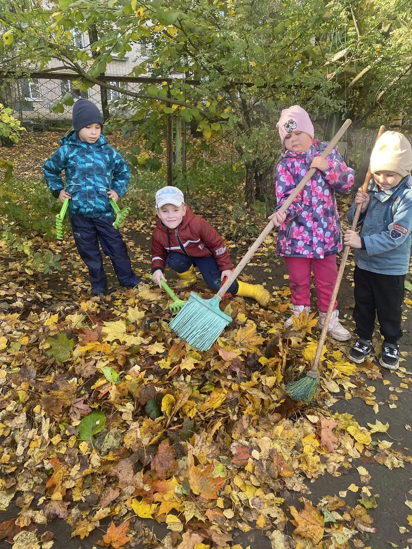 Золотая осень🍁 дарит нам не только красивые пейзажи, но и веселые хлопоты🍂 🧹 .