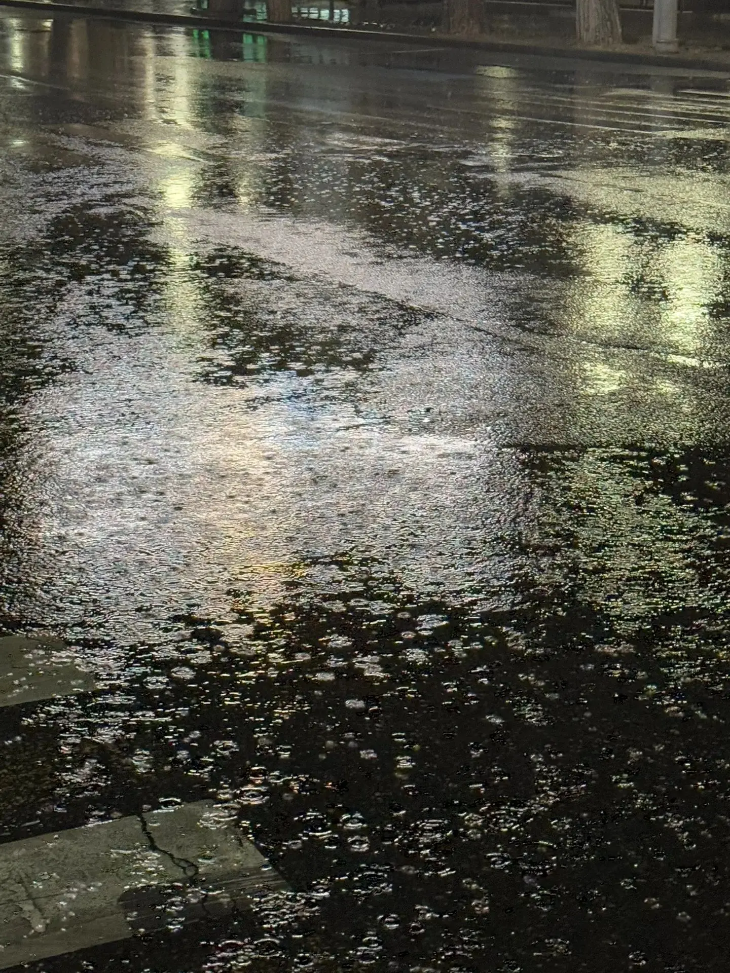 Дождь пришёл точно по прогнозу — синоптики сегодня молодцы! ☔️