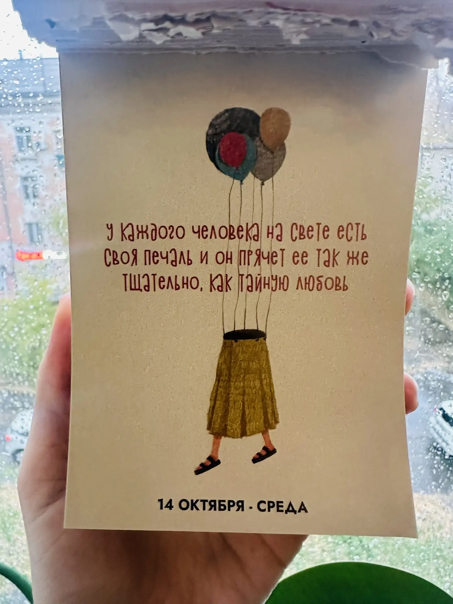 Доброе утро ☀️☔️