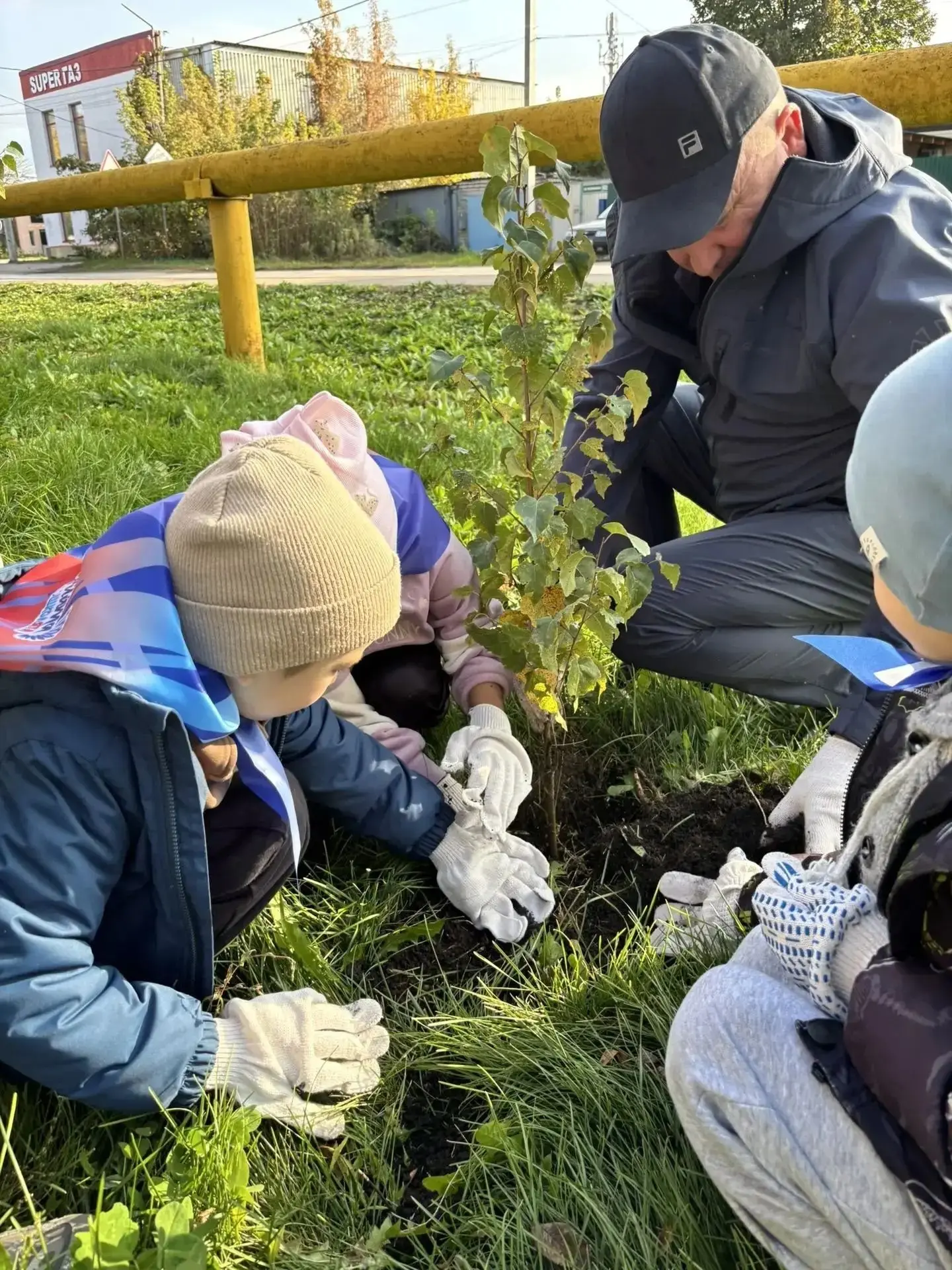 🙌 Зеленый фонд Парка Победы в Кинеле пополнился молодыми березами. Осенняя высадка саж...