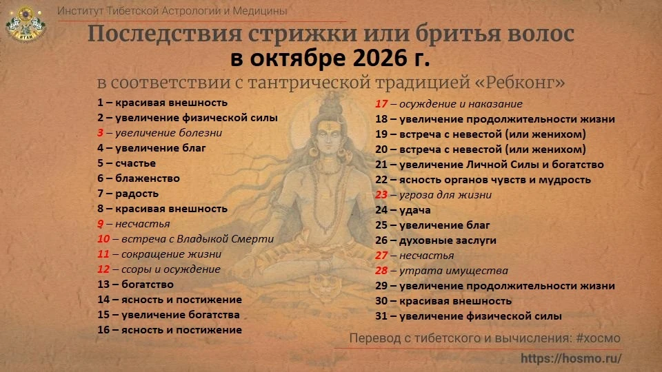 Кто ждал?❤️ волосатый календарь на ОКТЯБРЬ 2026 г🙌