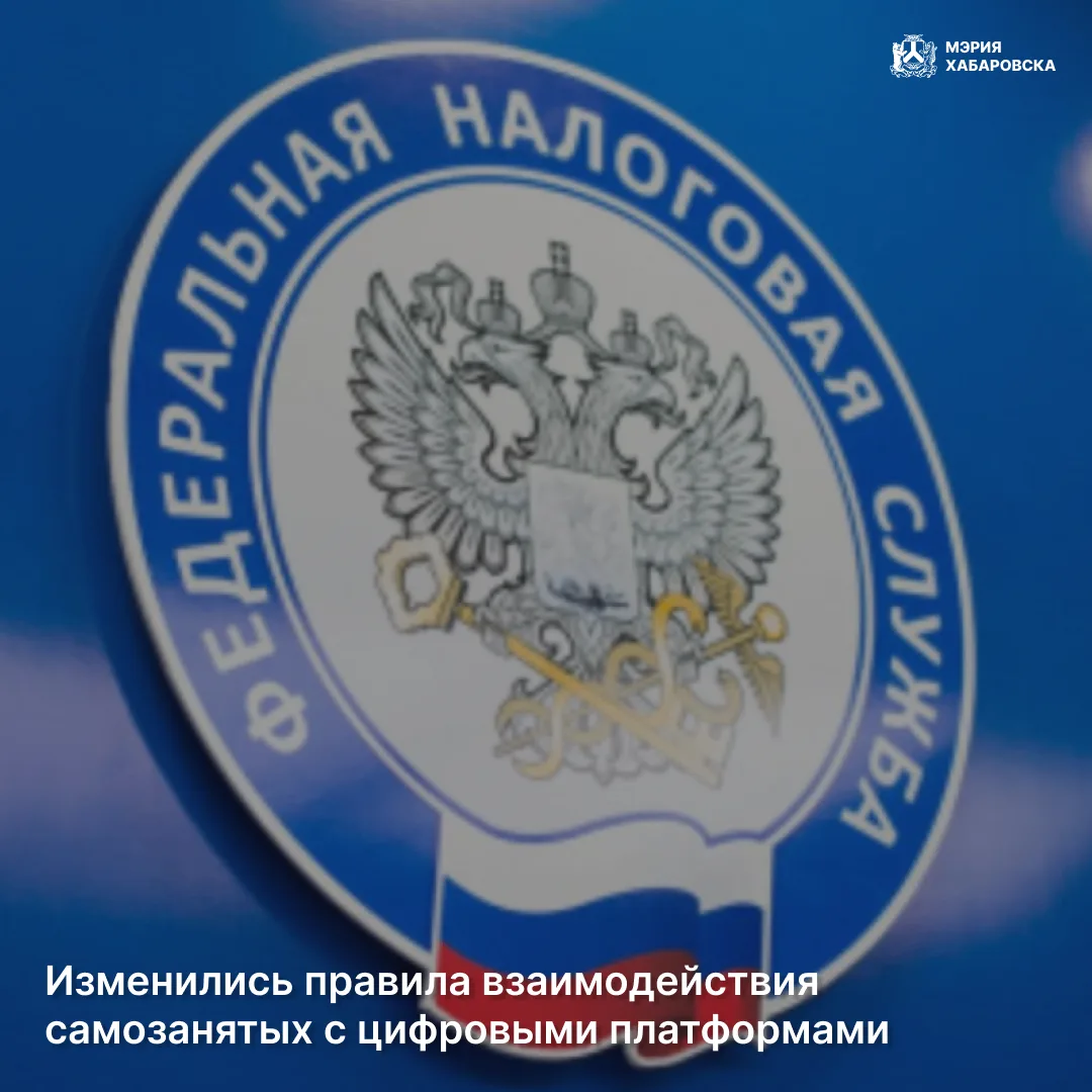 Важное для хабаровских предпринимателей и самозанятых